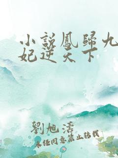 小说凤归九霄狂妃逆天下