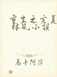 重生之完美时代 林风小说