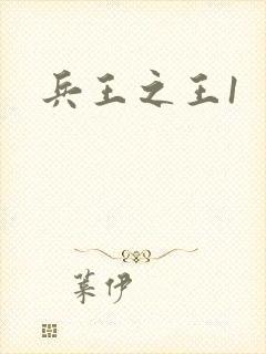 兵王之王1