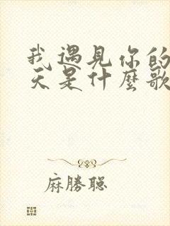 我遇见你的那一天是什么歌里的歌词