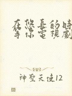 在悠长的时光里等你电视剧