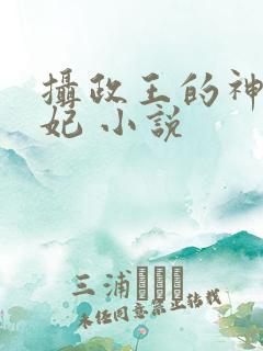 摄政王的神医毒妃 小说