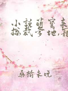 小说萌宝来袭:总裁爹地,宠上天