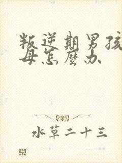 叛逆期男孩骂父母怎么办