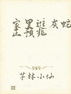 家里进灰蛇的真正预兆