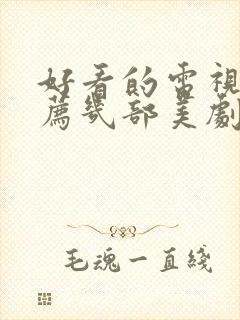 好看的电视剧推荐几部美剧有哪些