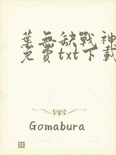 叶无缺战神狂飙免费txt下载