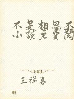 不是相思不落愁小说免费阅读