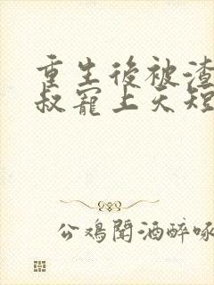 重生后被渣男小叔宠上天短剧