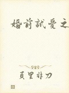 婚前试爱之新婚