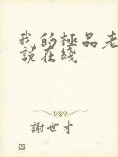 我的极品老婆小说在线