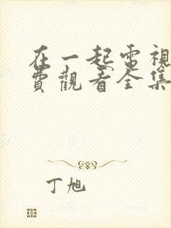 在一起电视剧免费观看全集完整版