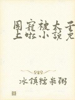 团宠被太子给盯上啦小说免费阅读全文