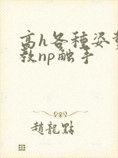 高h各种姿势调教np触手