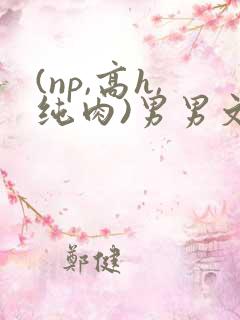 (np,高h,纯肉)男男文