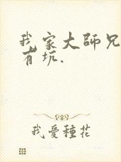 我家大师兄脑子有坑.