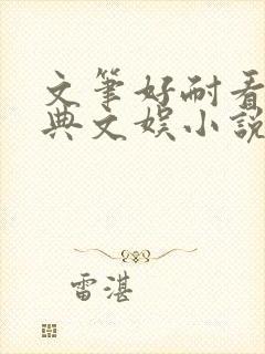 文笔好耐看的经典文娱小说