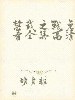 禁武之战免费观看全集高清