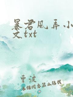 暴君风弄小说全文txt
