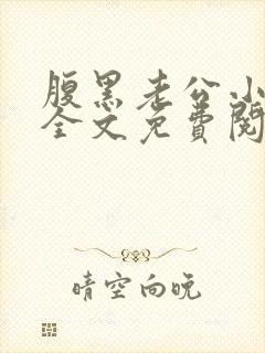 腹黑老公小萌妻全文免费阅读