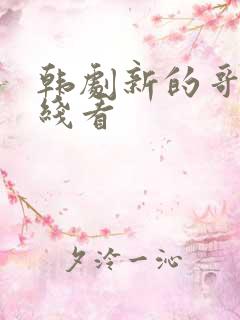 韩剧新的哥哥在线看