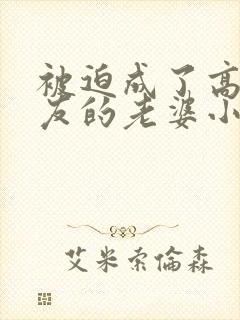 被迫成了高冷室友的老婆小说阅读免费