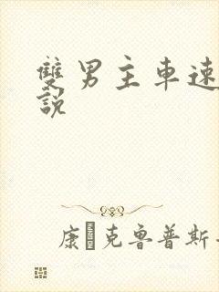 双男主车速快小说