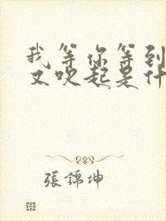 我等你等到秋风又吹起是什么歌