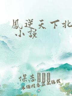 凤逆天下北月篇 小说