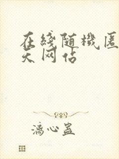 在线随机匿名聊天网站