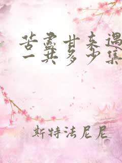 苦尽甘来遇见你一共多少集