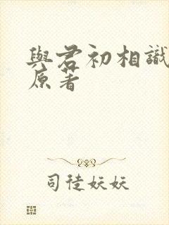 与君初相识小说原著