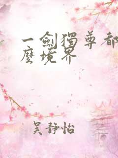 一剑独尊都有什么境界