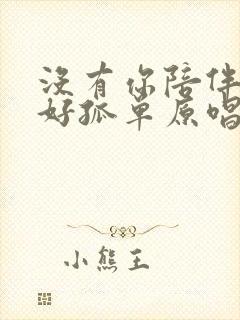 没有你陪伴真的好孤单原唱完整版