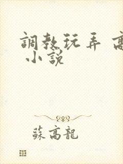 调教玩弄 高潮 小说