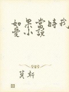 如果当时我说了爱小说