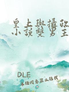 皇上与摄政王的小说双男主