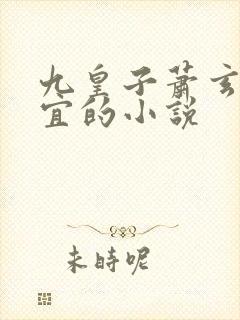 九皇子萧玄和陆宜的小说