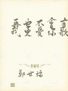 再也不会有人比我更爱你歌词