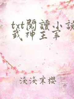 txt阅读小说武神主宰