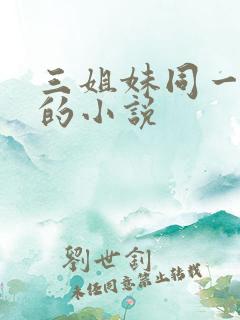 三姐妹同一丈夫的小说