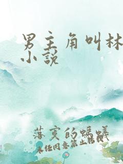 男主角叫林枫的小说