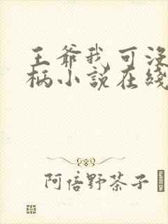 王爷我可没有把柄小说在线阅读