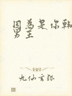 因为是你韩剧双男主