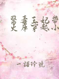 医毒王妃带着军火库穿越小说