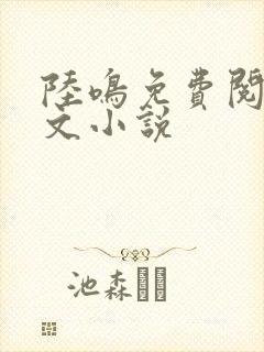 陆鸣免费阅读全文小说