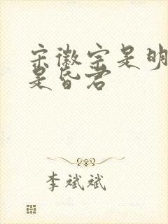 宋徽宗是明君还是昏君