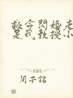 救命闪婚老公竟是我教授小说免费阅读