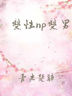 双性np双男主