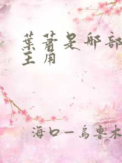 叶萧是哪部小说主角